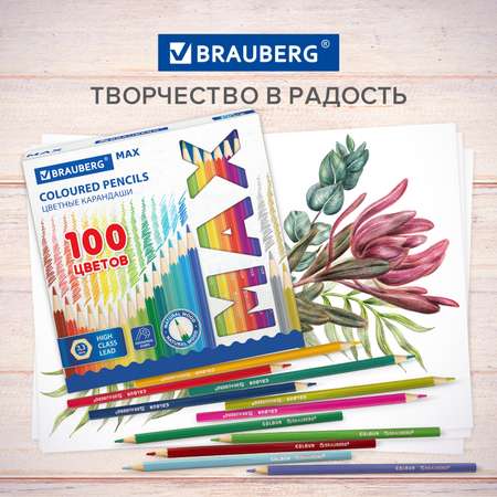 Карандаши цветные Brauberg 100 шт.