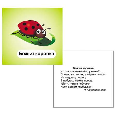 Карточки Учитель Насекомые