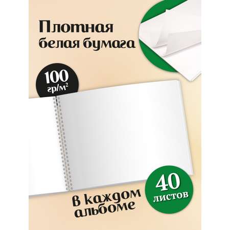 Альбом ШКОЛЬНЫЙ МИР Детский А4 40 лист. 2 шт.