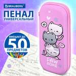 Пенал футляр Brauberg
