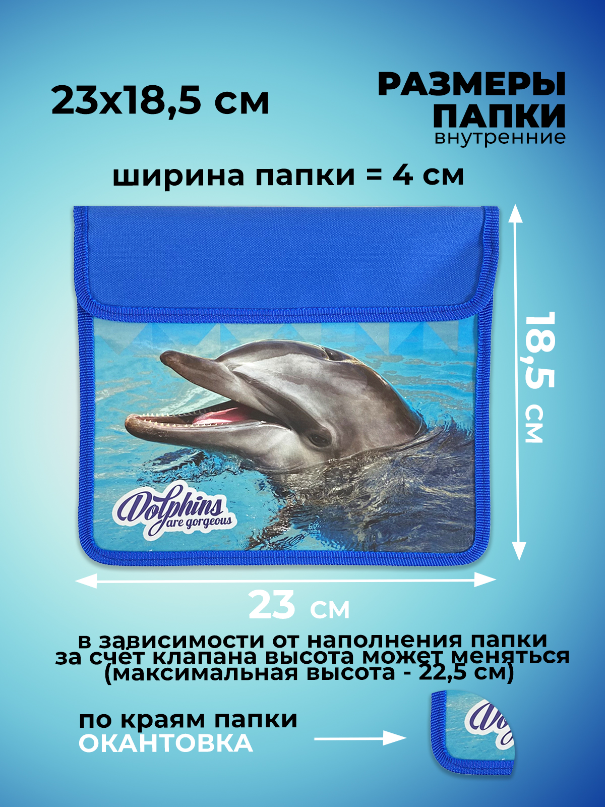 Папка для тетрадей Cancburg А5 - фото 2