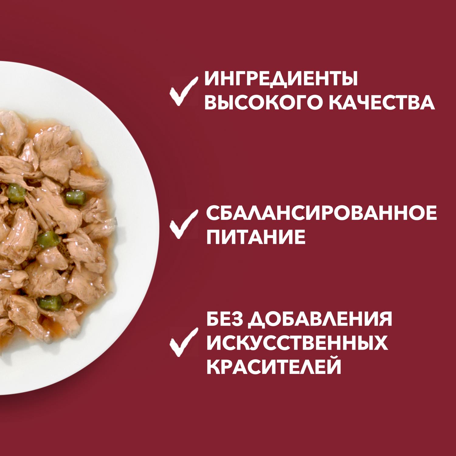 Корм для собак Purina One Mini мелких пород курица-морковь-зеленая фасоль 85г - фото 6
