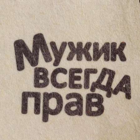 Шапка для бани . Мужик всегда прав с принтом белая 5312255