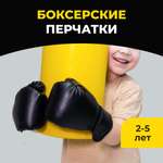 Боксерские перчатки ROMANA 4 унции