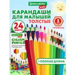 Карандаши цветные Brauberg 24 шт.