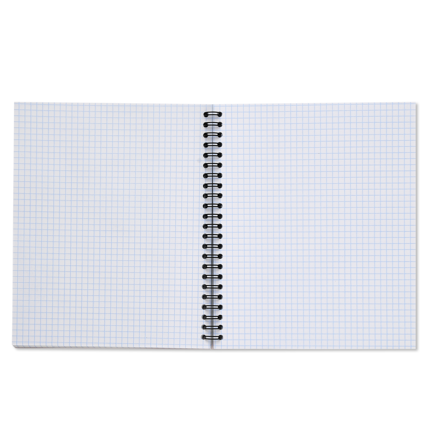 Общая тетрадь ErichKrause клетка 80 лист. в ассортименте - фото 6