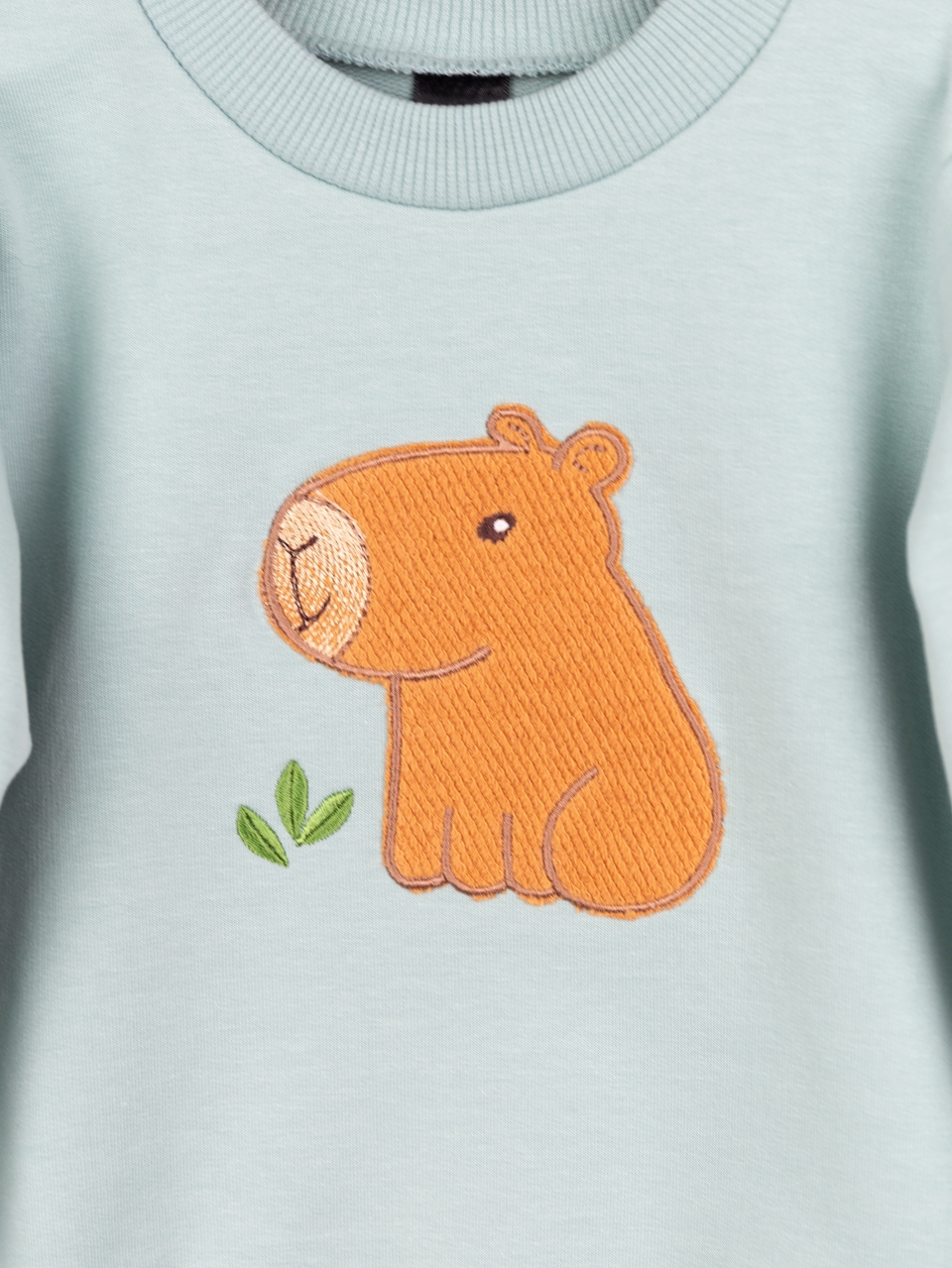 Костюм Baby boom КД568/2-Ф2 аппликация капибара мятно-голубой - фото 5