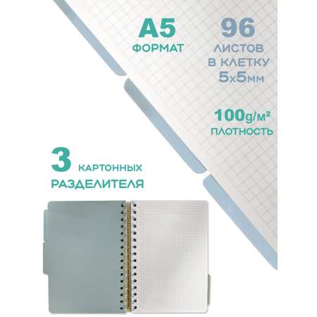 Общая тетрадь KEYROAD клетка 96 лист.