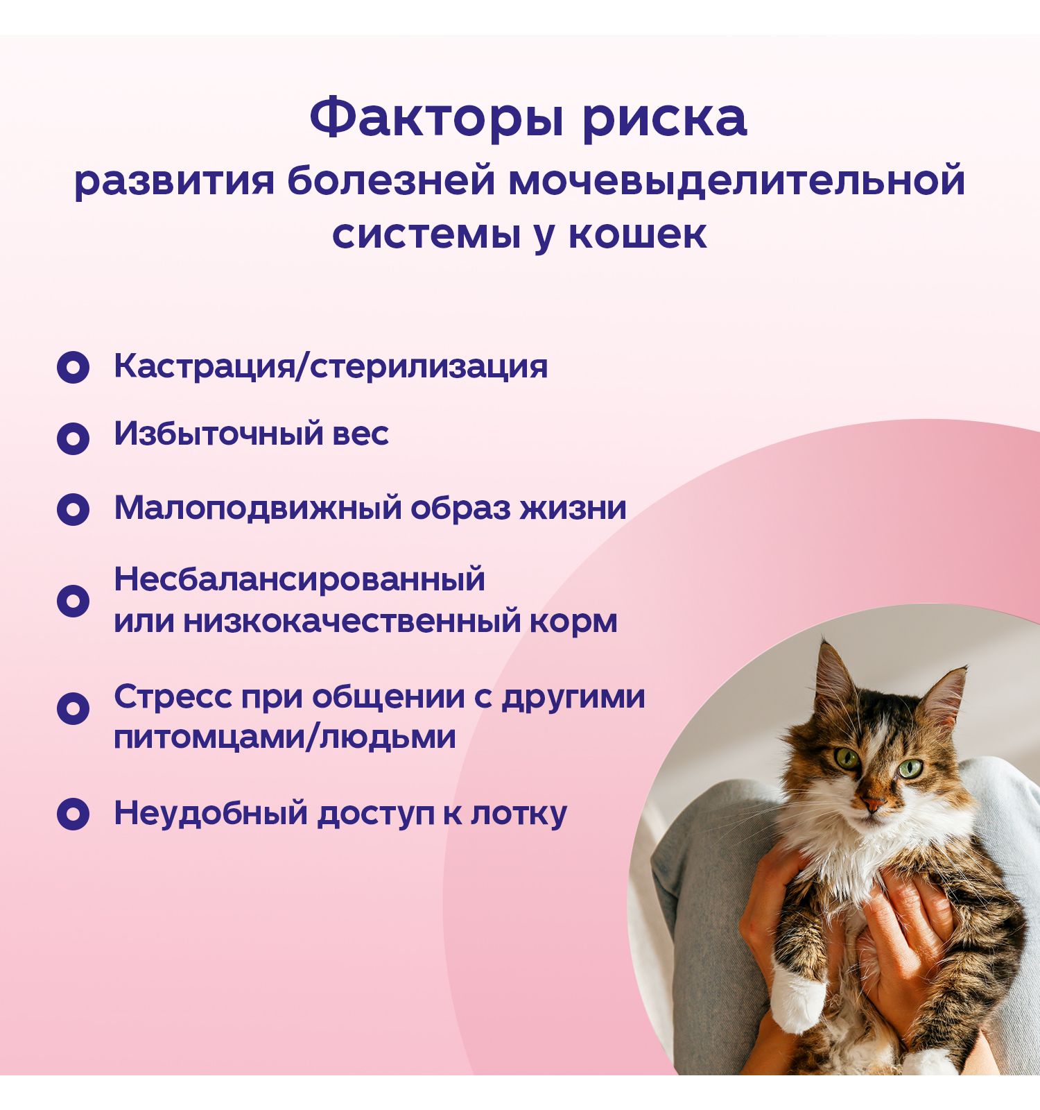 Добавка для кошек и собак Protexin Цистофан кормовая 30капсул - фото 5