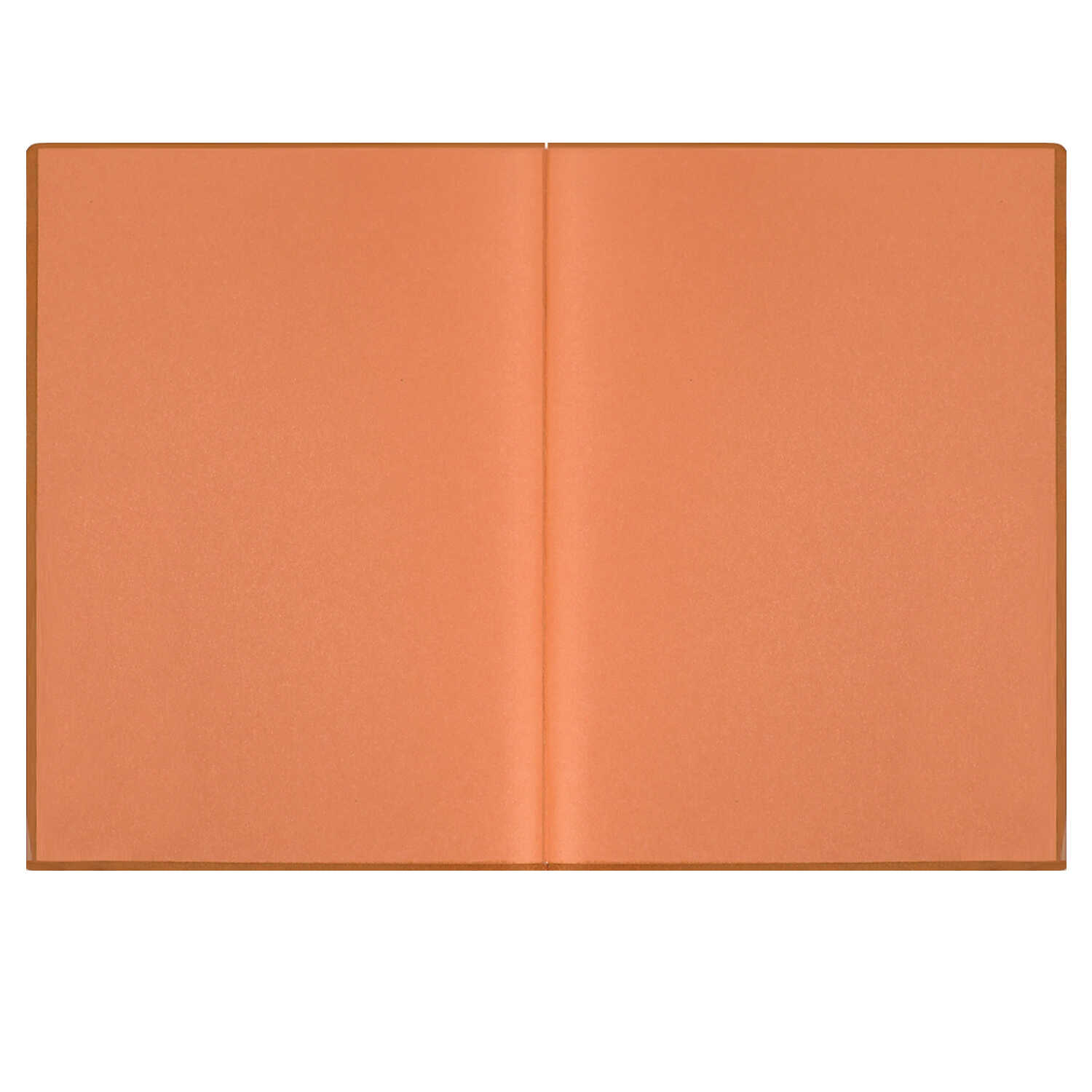 Ежедневник Феникс + ESCALADA 160 лист. - фото 13