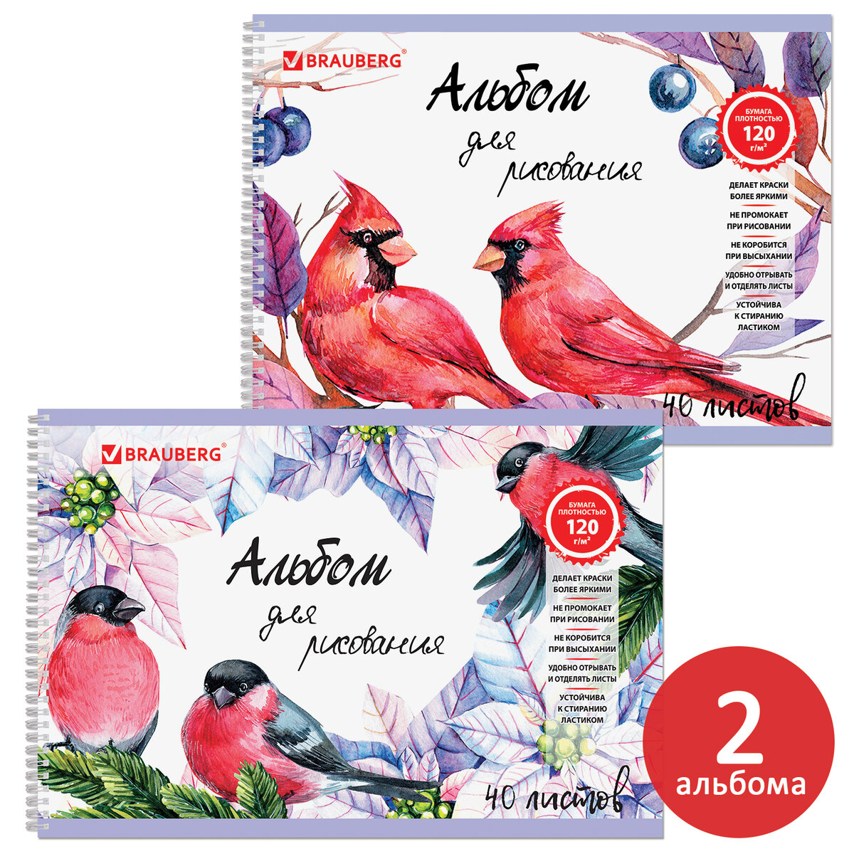 Альбом Brauberg А4 40 лист. 2 шт. - фото 4