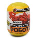 Конструктор Технолог Астроид блочный