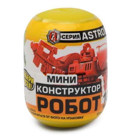 Конструктор Технолог Астроид блочный