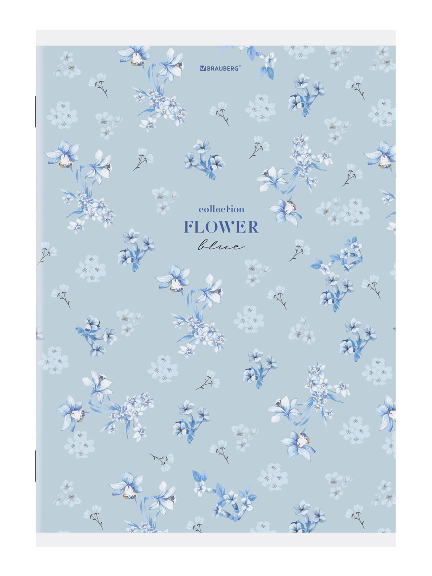 Общая тетрадь Brauberg клетка 96 лист. 3 шт. - фото 12