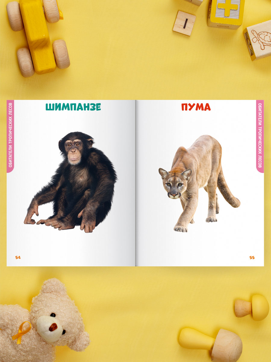 Книга Проф-Пресс Главная книга малыша. Животные нашей планеты - фото 5