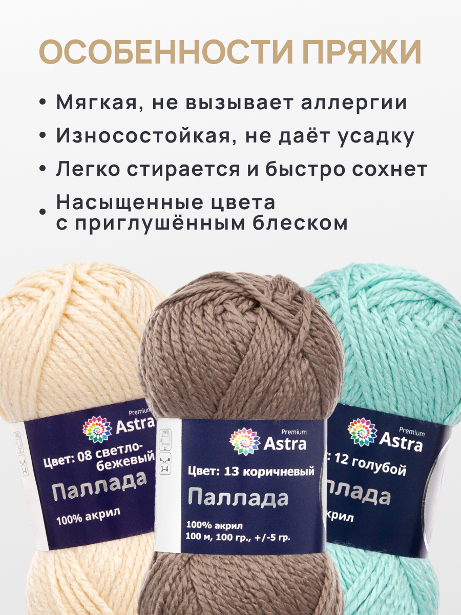 Пряжа для вязания Astra Premium 100г 100м 3шт - фото 3