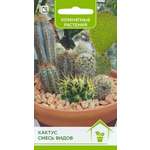 Кактус ПОИСК Смесь видов 0.1г