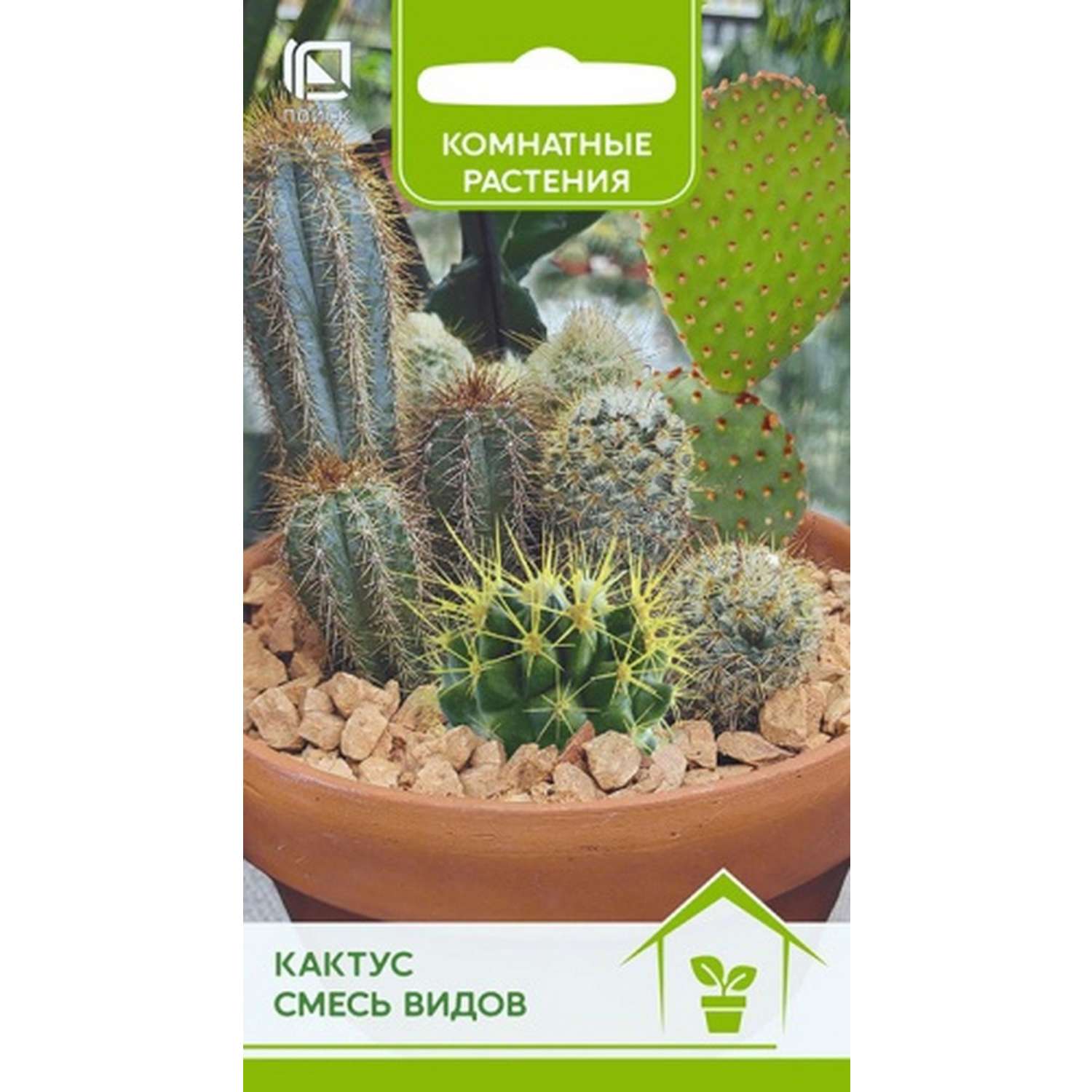 Кактус ПОИСК Смесь видов 0.1г - фото 1