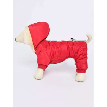 Комбинезон PIFPAF DOG 937-84