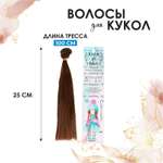 Набор для творчества Школа Талантов плетение Волосы прямые, тресс для кукол