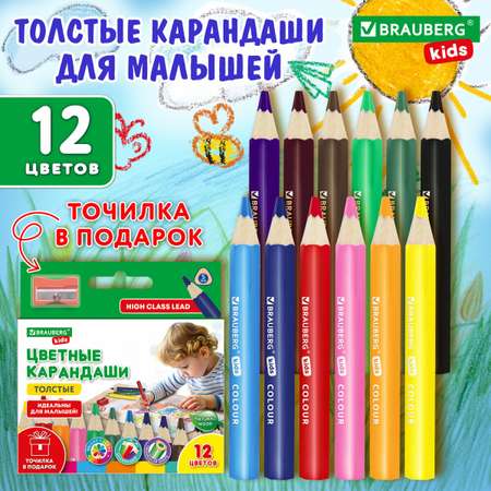 Карандаши цветные Brauberg 12 шт.