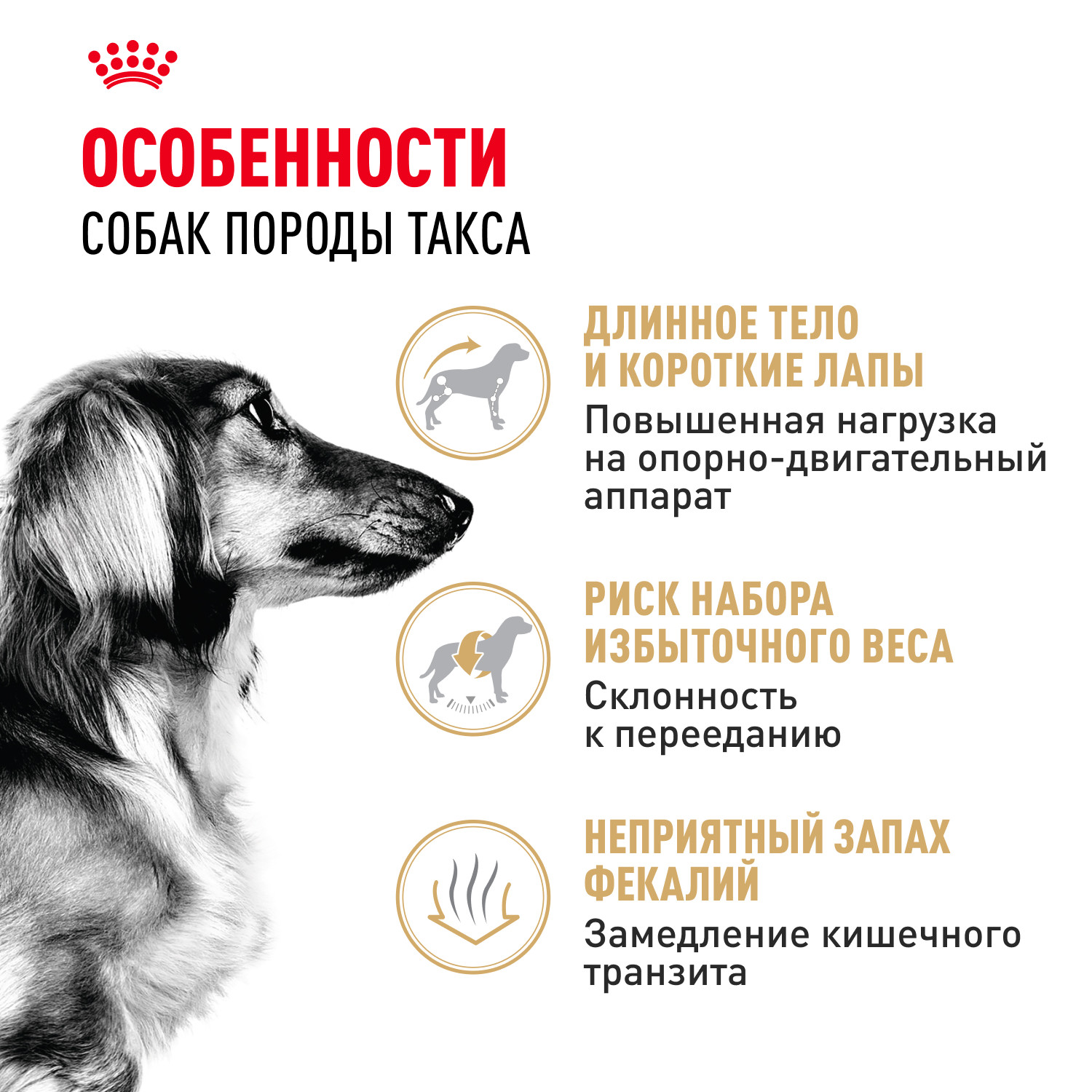 Корм для собак ROYAL CANIN породы такса 7.5кг - фото 2