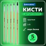 Кисть Brauberg 5 шт. (белка)