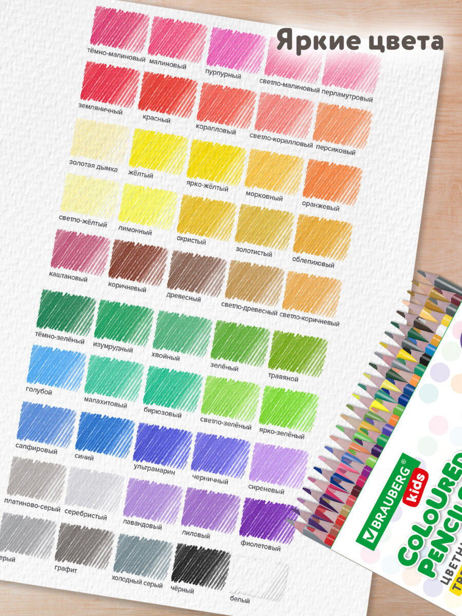 Карандаши цветные Brauberg 50 шт. - фото 4