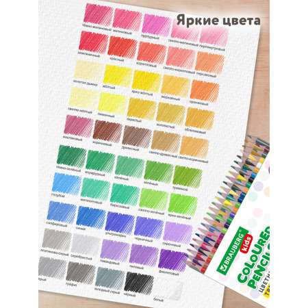 Карандаши цветные Brauberg 50 шт.