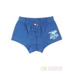 Трусы Cherubino