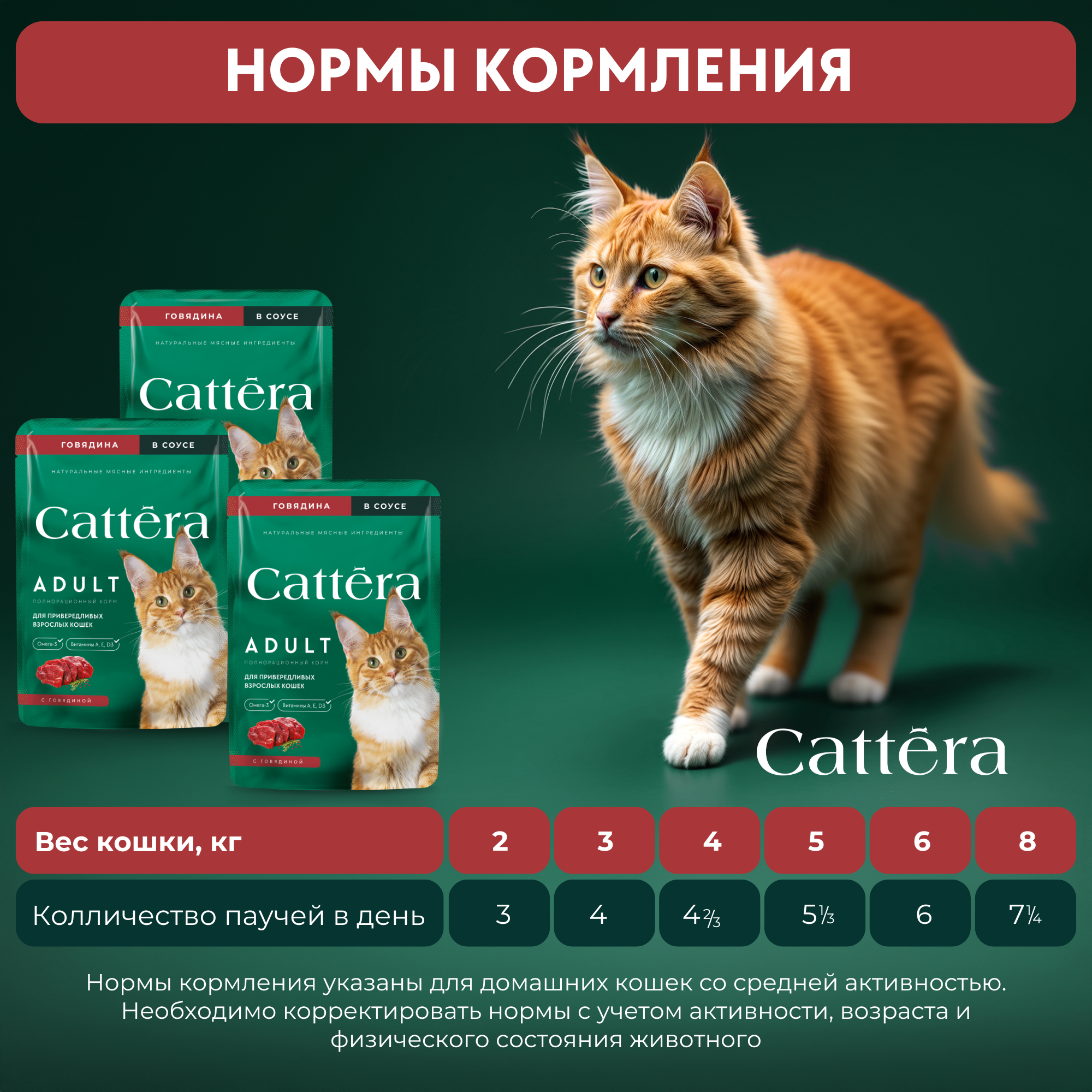 Корм влажный Cattera консервированный полнорационный с говядиной в соусе для взрослых кошек - фото 10