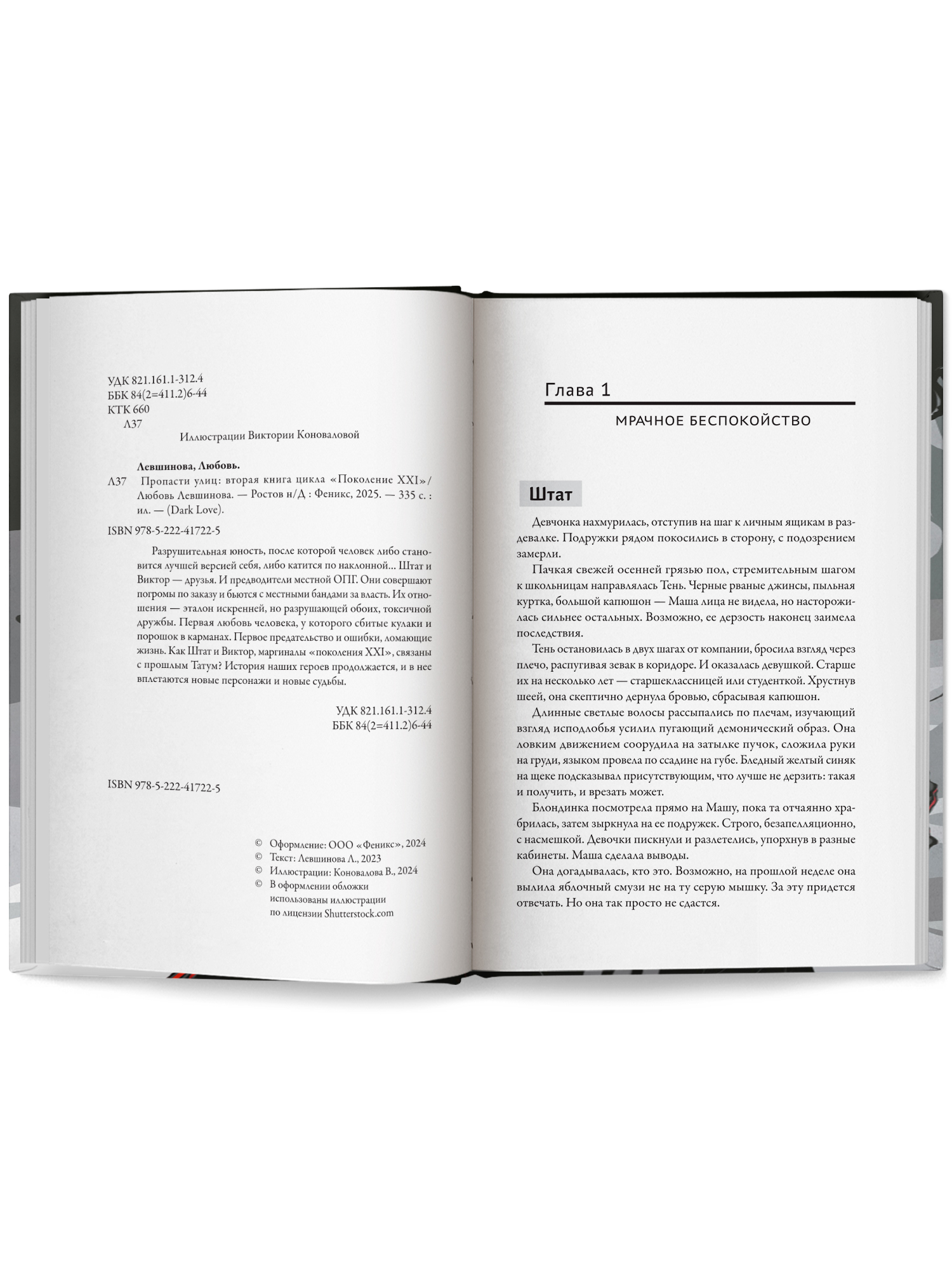 Книга Феникс Пропасти улиц вторая цикла Поколение XXI - фото 13