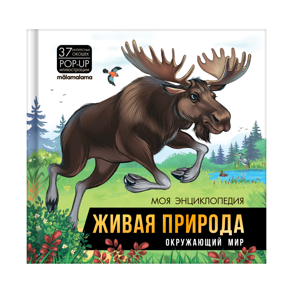 Книга Живая природа Окружающий мир Malamalama Энциклопедия с объемными картинками 3Д - фото 1