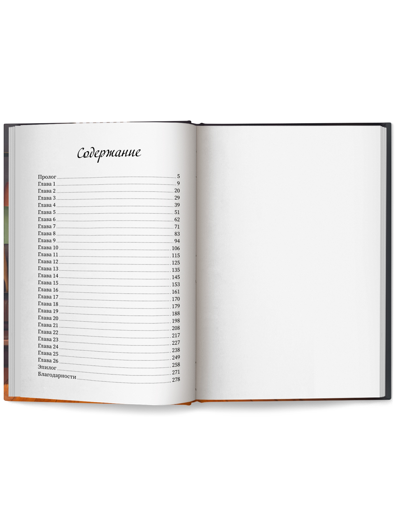 Перехват Феникс Книга - фото 10