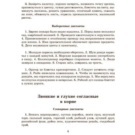 Книга ИД Литера Словарные проверочные и контрольные диктанты с 5 по 9 классы.