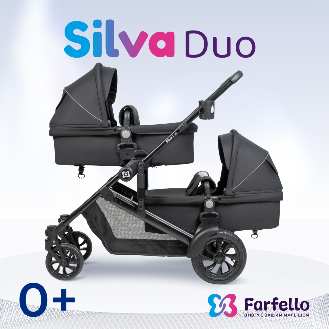 Коляска трансформер Farfello Silva Duo - фото 1