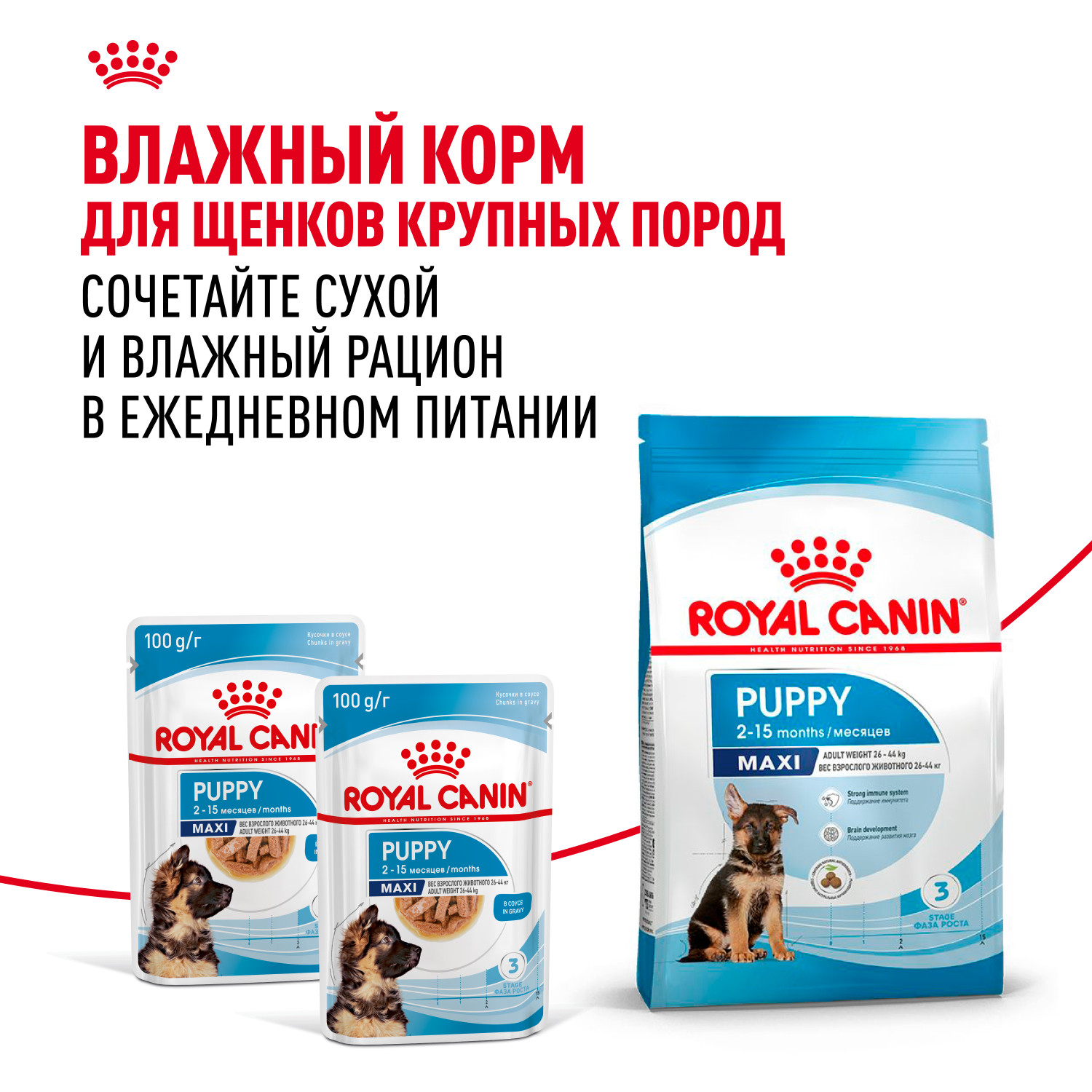 Корм для щенков ROYAL CANIN Maxi Puppy 3кг - фото 8