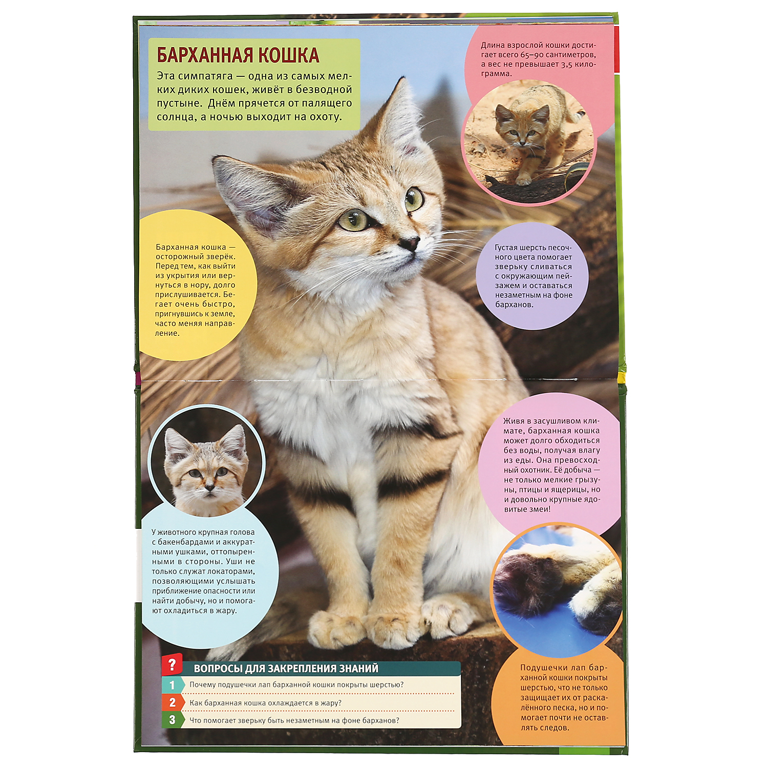 Книга УМка Ночные жители - фото 4
