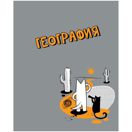 Тетрадь Полиграф Принт 48 лист. (География)