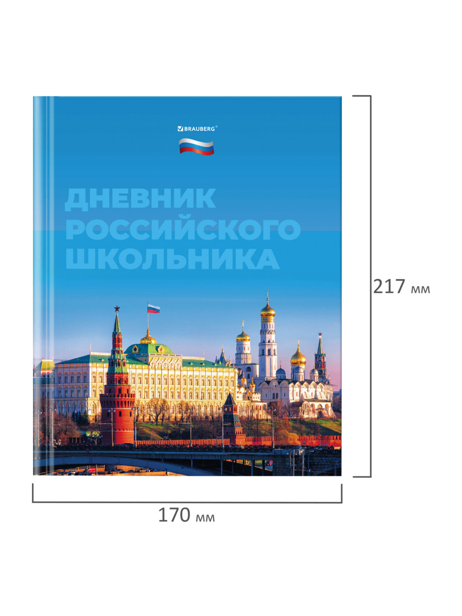 Дневник школьный Brauberg 1-11 класс Россия канцелярия - фото 17