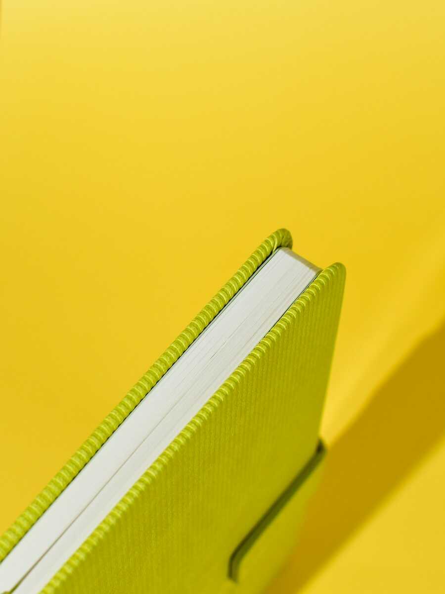 Ежедневник Феникс + ESCALADA 120 лист. - фото 10