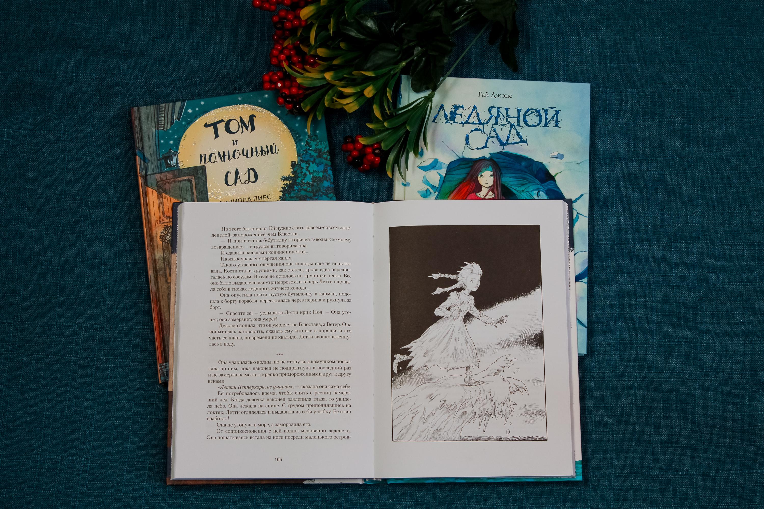 Книга Качели Торговец снегом - фото 2