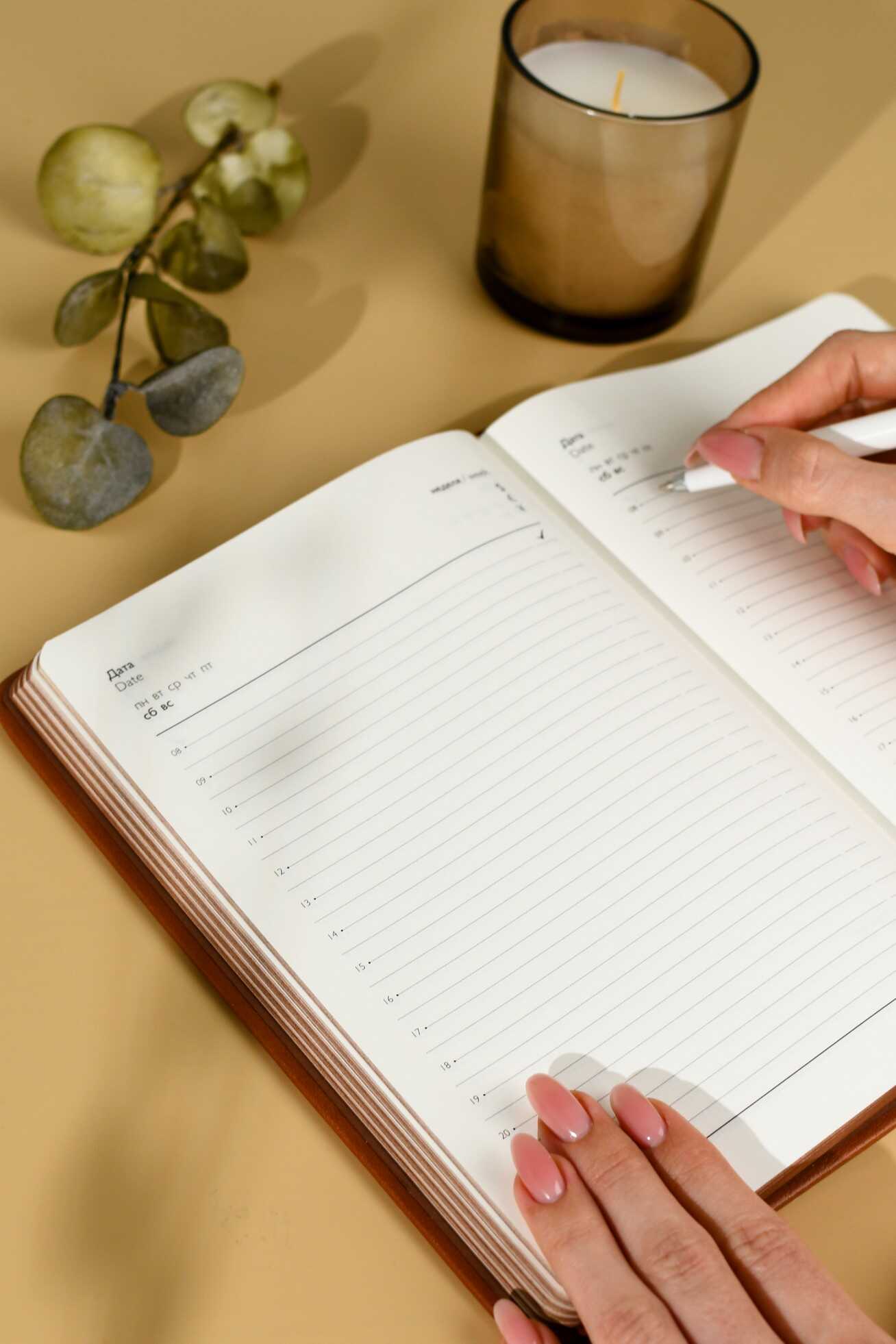 Ежедневник Феникс + ESCALADA 160 лист. - фото 13