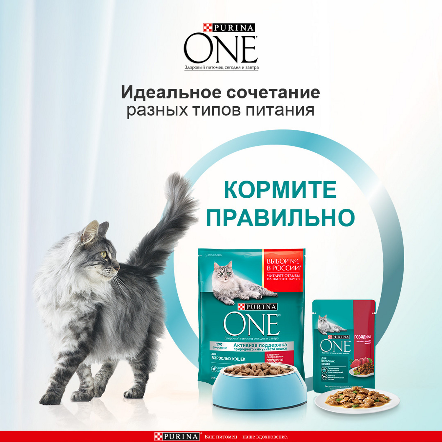 Корм для кошек Purina One Природа Здоровья курица 180г - фото 5