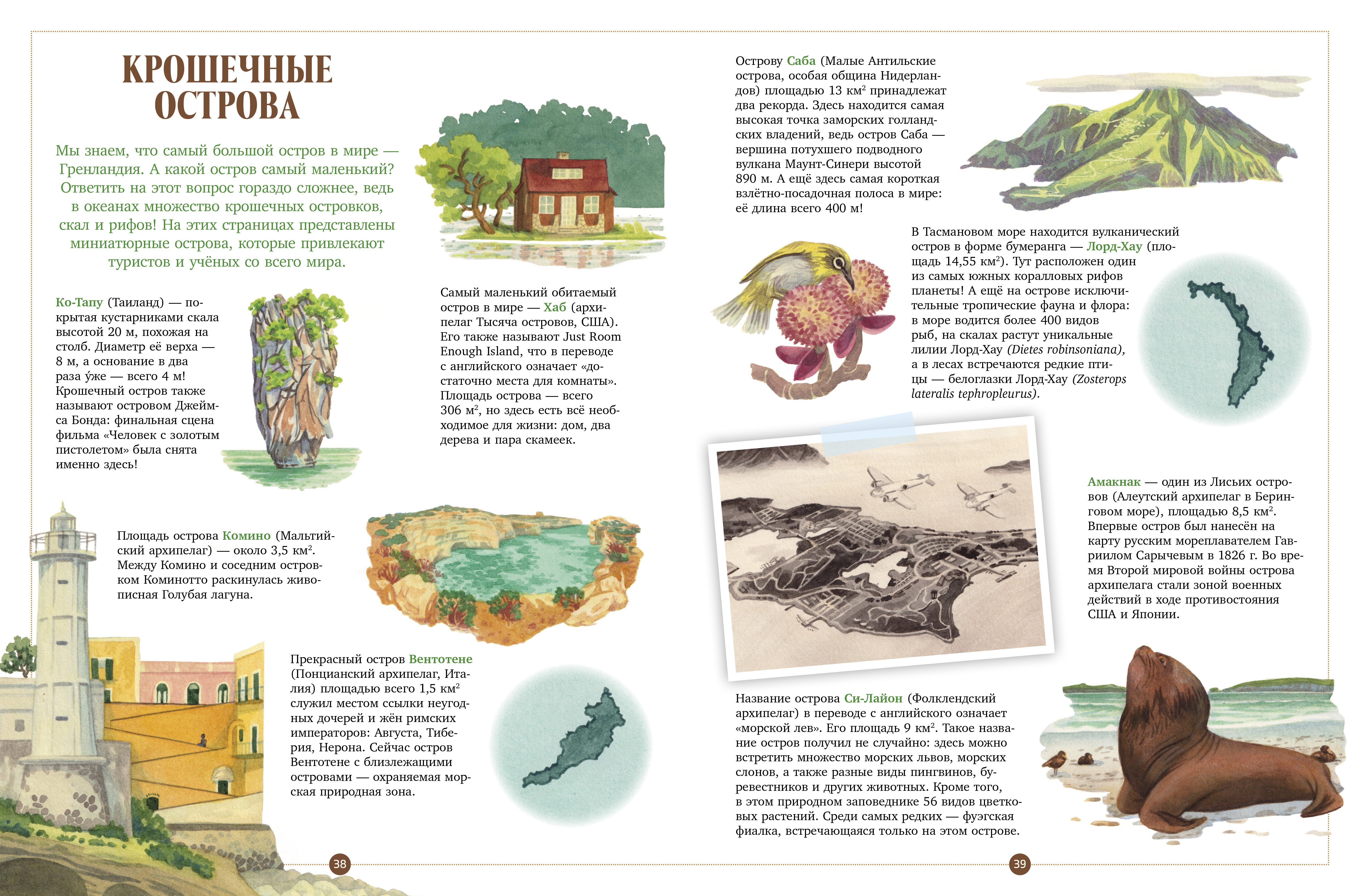 Книга Clever Энциклопедия - фото 3