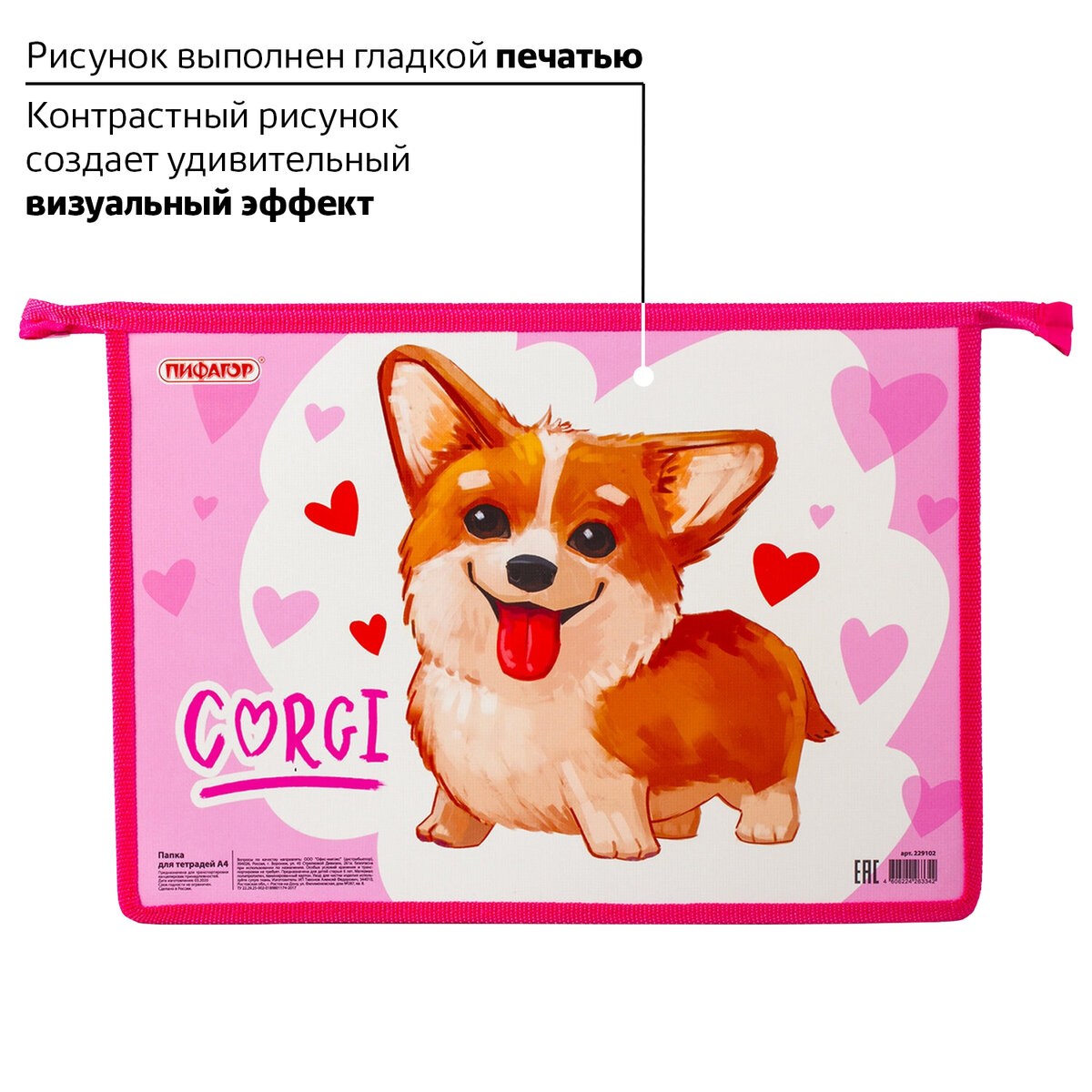 Папка для тетрадей Пифагор А4 - фото 4