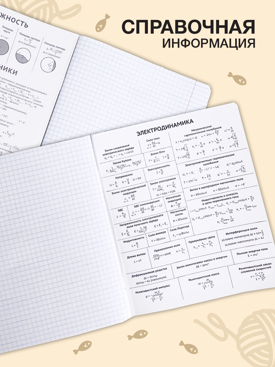 Тетрадь SCHOOLFORMAT 48 лист. 10 шт. - фото 4