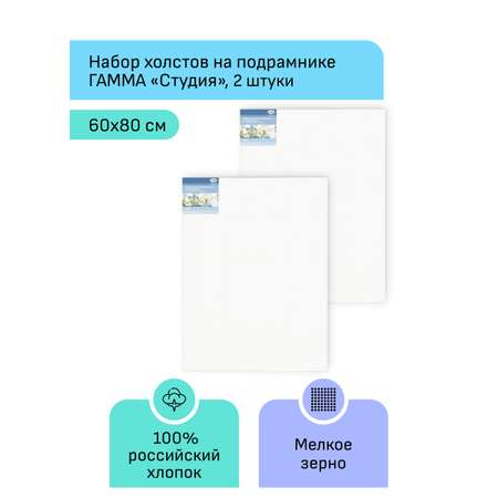 Набор холстов Гаммa на подрамнике 2 шт