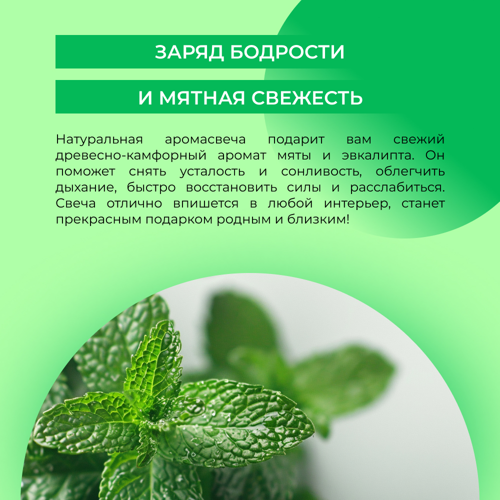 Аромасвеча Siberina натуральная Мята и эвкалипт 60 мл - фото 6