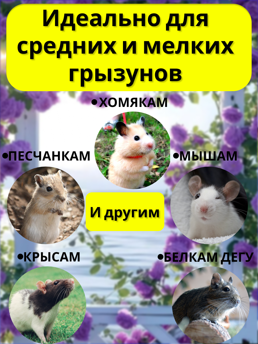 Гамак для грызунов PetiPet зеленый маленький 20х20 двухъярусный - фото 4